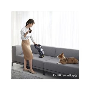 Samsung Vs20b75acr5/tr Jet 75e Dikey Şarjlı Süpürge