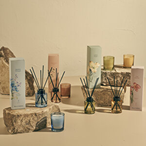 Golden Tropics Oda Kokusu Yeşil (100 Ml) Yeşil