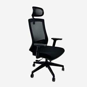 Dynamic Fileli Ergonomik Çalışma Koltuğu – Ayarlanabilir Kollar Başlık Bel Desteği - Siyah