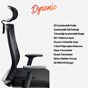 Dynamic Fileli Ergonomik Çalışma Koltuğu – Ayarlanabilir Kollar Başlık Bel Desteği - Siyah