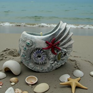 Aqualis Soya Mumlu Mumluk