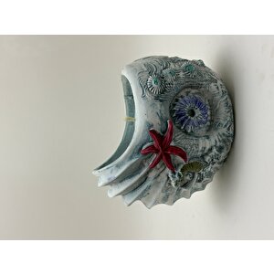 Aqualis Soya Mumlu Mumluk