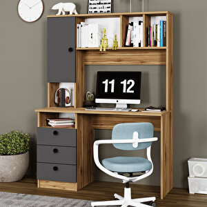 Rüya Çekmeceli Dolaplı Raflı Çalışma Masası Bilgisayar Masası Ry06