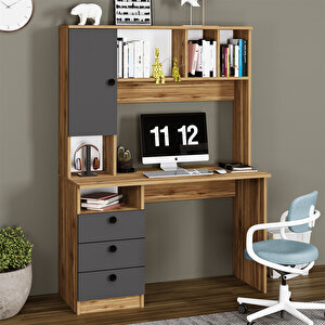 Rüya Çekmeceli Dolaplı Raflı Çalışma Masası Bilgisayar Masası Ry06