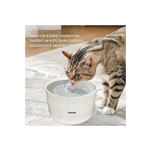 Qq005b-wf013 Akıllı Mama Kabı,kedi Serami̇k Su Pınarı 2 Li Kameralı Set Tr Garantili
