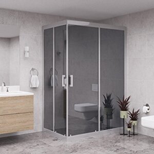 Silver Diora 6mm Reflekte Cam Dikdörgen Duşakabin 100x110 cm