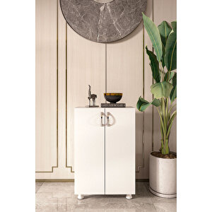 Ayakkabılık Dolabı Çift Kapaklı 2 Raflı Çok Amaçlı Dolap