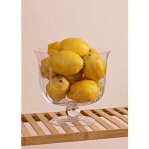 Cam Salata Kasesi 22x21 Cm Cam0502