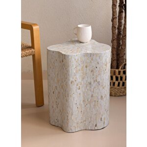 Sedef Tabure Yan Sehpa 35x35x50 Cm Tlc0128