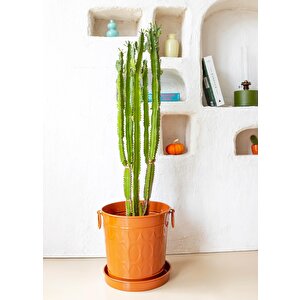 Prizma Saksı Terracota 33x25x33 Cm