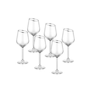 Gina Şarap Kadehi Gümüş 6lı Set