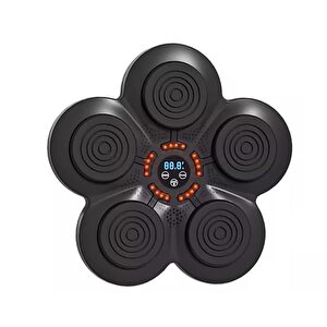 Müzikli Duvar Boks Padi