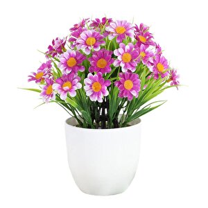 6lı Set Yapay Çiçek Papatya Beyaz Saksıda Karışık Renkler