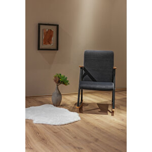 Aila Sallanan Koltuk Sallanır Tv Koltuğu Sallanan Sandalye Dinlenme Koltuğu Füme Füme