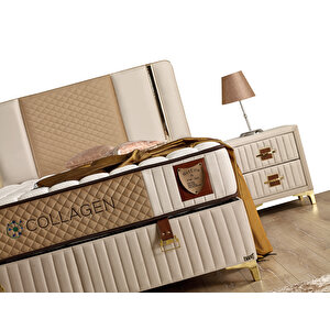 Collagen Başlık 180 cm