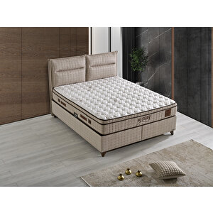 Mystrey Plus Başlık