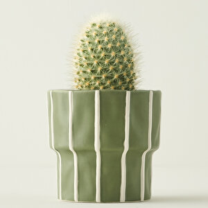 Ruvia Saksı Yeşil (13x13x13 Cm) Yeşil