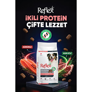 Duo Proteinli Somonlu Ve Kuzu Etli Orta Ve Büyük Irk Yetişkin Köpek Maması 10 Kg