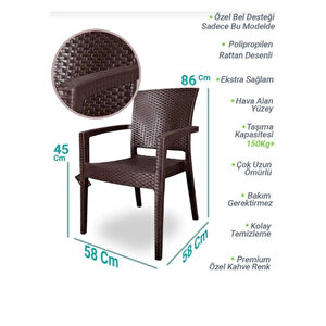 Rattan Sandalye 2 Adet Rattan Victor Kollu Sandalye Koltuk 2'li Set A Plus