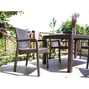 Rattan Sandalye 2 Adet Rattan Victor Kollu Sandalye Koltuk 2'li Set A Plus