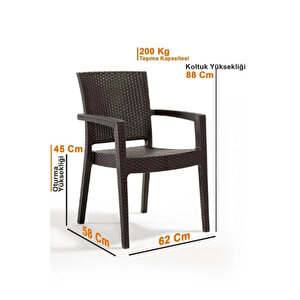 Rattan Sandalye 4 Adet Rattan Victor Kollu Sandalye Koltuk 4'lü Set A Plus