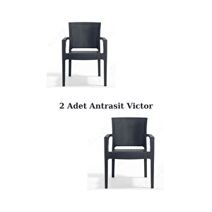 Rattan Sandalye 2 Adet Rattan Victor Kollu Sandalye Koltuk 2'li Set A Plus