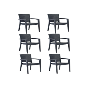 Rattan Sandalye 6 Adet Rattan Victor Kollu Sandalye Koltuk 6'lı Set A Plus