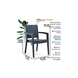 Rattan Sandalye 6 Adet Rattan Victor Kollu Sandalye Koltuk 6'lı Set A Plus