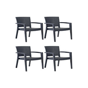 Rattan Sandalye 4 Adet Rattan Victor Kollu Sandalye Koltuk 4'lü Set A Plus