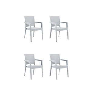 Rattan Sandalye 4 Adet Rattan Victor Kollu Sandalye Koltuk 4'lü Set A Plus