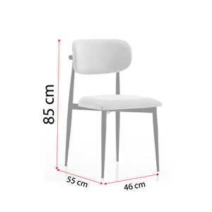 Polo Metal Tekli Mutfak Yemek Masası Sandalyesi Antrasit