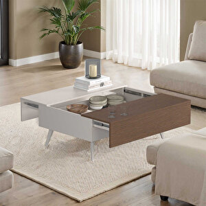 Milano Çekmeceli Dikdörtgen Orta Sehpa - Vizon/zebra 103x44x72 Cm