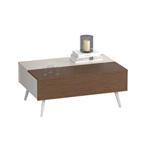 Milano Çekmeceli Dikdörtgen Orta Sehpa - Vizon/zebra 103x44x72 Cm