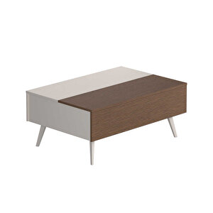 Milano Çekmeceli Dikdörtgen Orta Sehpa - Vizon/zebra 103x44x72 Cm