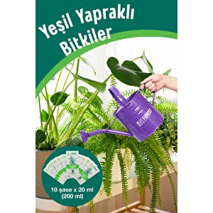 Yeşil Yapraklı Bitkiler Sıvı Konsantre Bitki Besini
