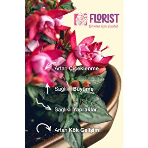 Florist Yeşil Yapraklı Bitkiler Sıvı Konsantre Bitki Besini