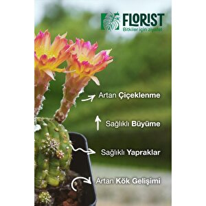 Konsantre Sıvı Kaktüs Ve Sukulent Bitki Besini