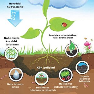 Prechar Meşe Odunu Bazlı Karbon Toprak Düzenleyici 32l Biochar 3mm Ve Altı