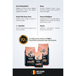 Plus Hipoalerjenik Yetişkin Ve Yavru Kuzu Etli Kedi Maması 1,5 Kg