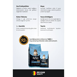 Hipoalerjenik Kısırlaştırılmış / Sterilised Somonlu Yetişkin Kedi Maması 8 Kg