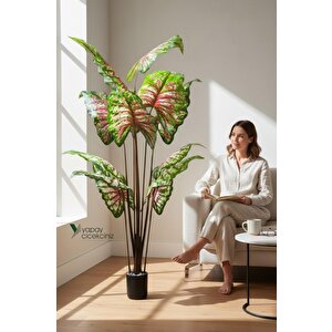 14 Büyük Yapraklı 180 Cm Yapay Fil Kulağı Ağacı Çok Renkli