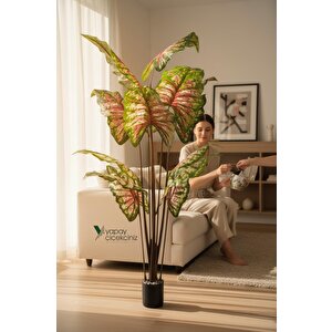 14 Büyük Yapraklı 180 Cm Yapay Fil Kulağı Ağacı Çok Renkli