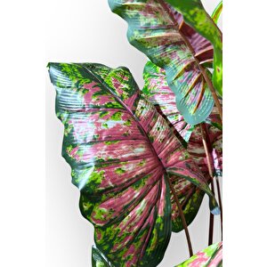 14 Büyük Yapraklı 180 Cm Yapay Fil Kulağı Ağacı Çok Renkli