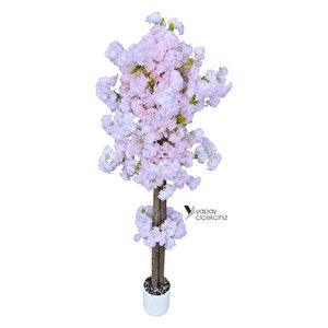 Beyaz Renkli Saksıda 150 Cm Yapay Bahardalı Ağacı Yoğun Yaprak Açık Pudra Pembe