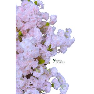 Beyaz Renkli Saksıda 150 Cm Yapay Bahardalı Ağacı Yoğun Yaprak Açık Pudra Pembe