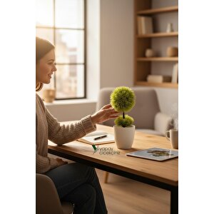 Beyaz Saksı 25 Cm Yapay Top Şimşir Çok Renkli