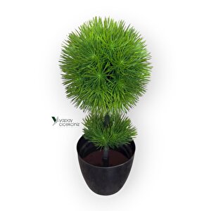Siyah Saksıda 25 Cm Mini Top Şimşir Koyu Yeşil