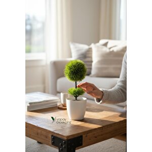 Beyaz Saksı 25 Cm Yapay Top Şimşir Koyu Yeşil