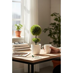 Beyaz Saksı 25 Cm Yapay Top Şimşir Koyu Yeşil