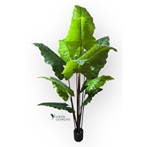 14 Büyük Yapraklı 180 Cm Yapay Fil Kulağı Ağacı Koyu Yeşil